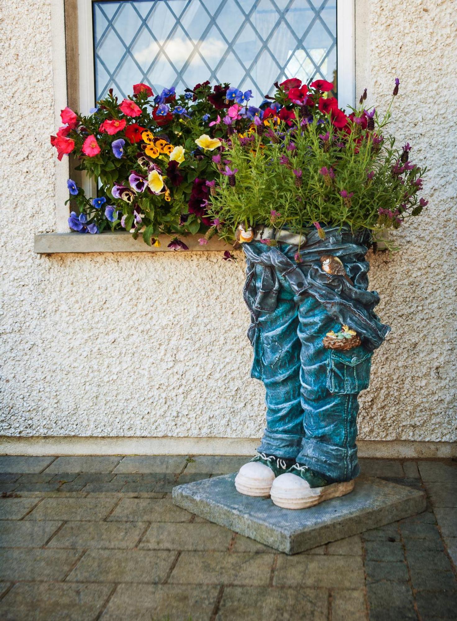 Grove House Bed & Breakfast Carlingford Kültér fotó