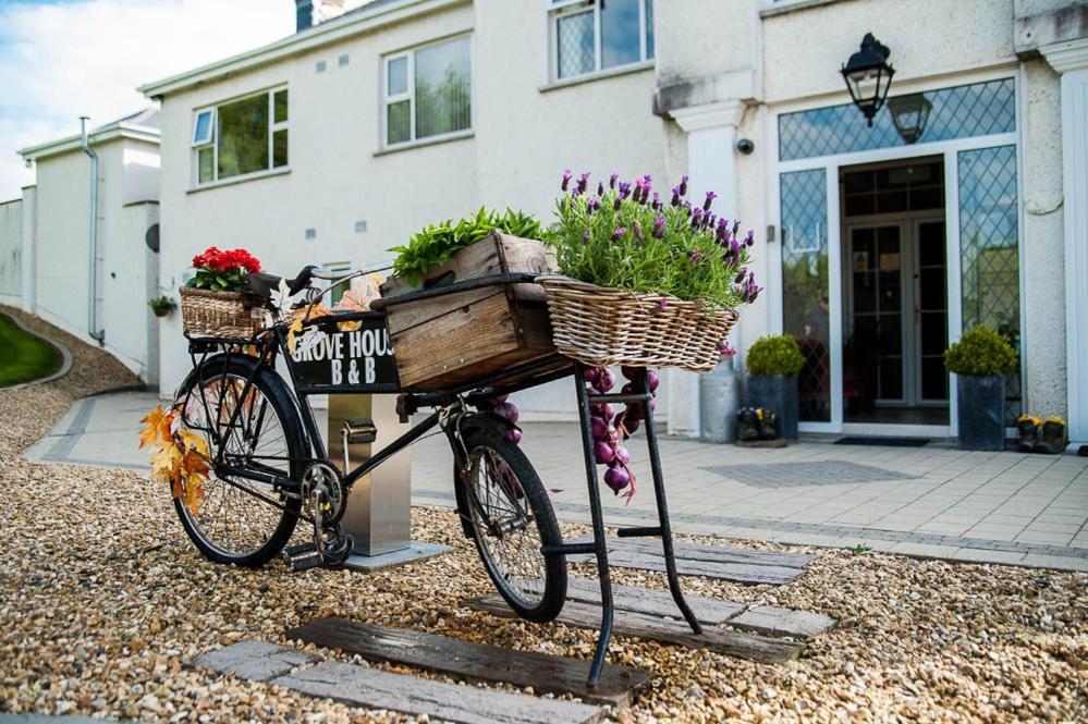 Grove House Bed & Breakfast Carlingford Kültér fotó